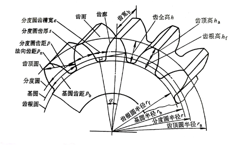 标准直齿轮外部结构图.jpg